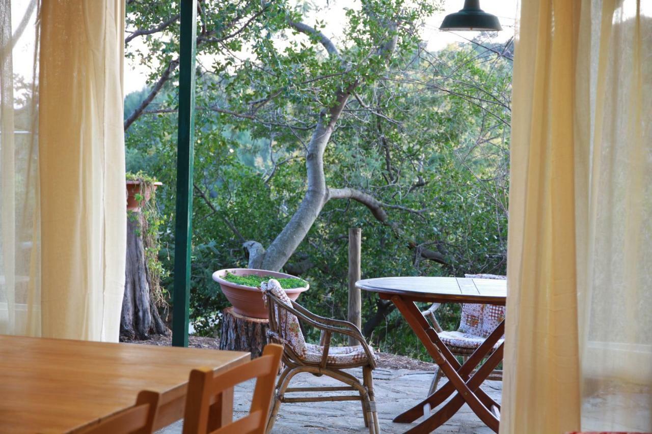 Villa Giulia Al Mare Castiglione della Pescaia Exteriér fotografie